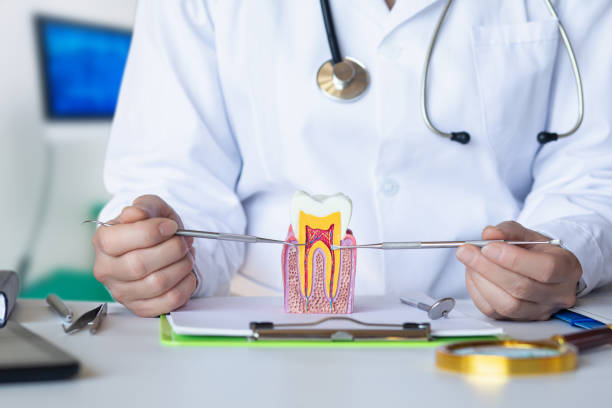 Best Emergency Dental Services for Seniors in Skidway Lake, MI